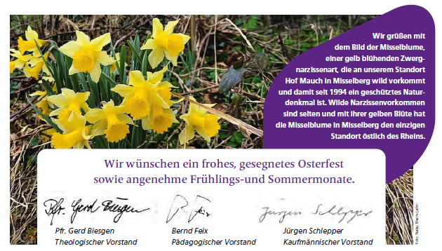 Collage aus Grußtext zu Ostern und blühenden Osterglocken